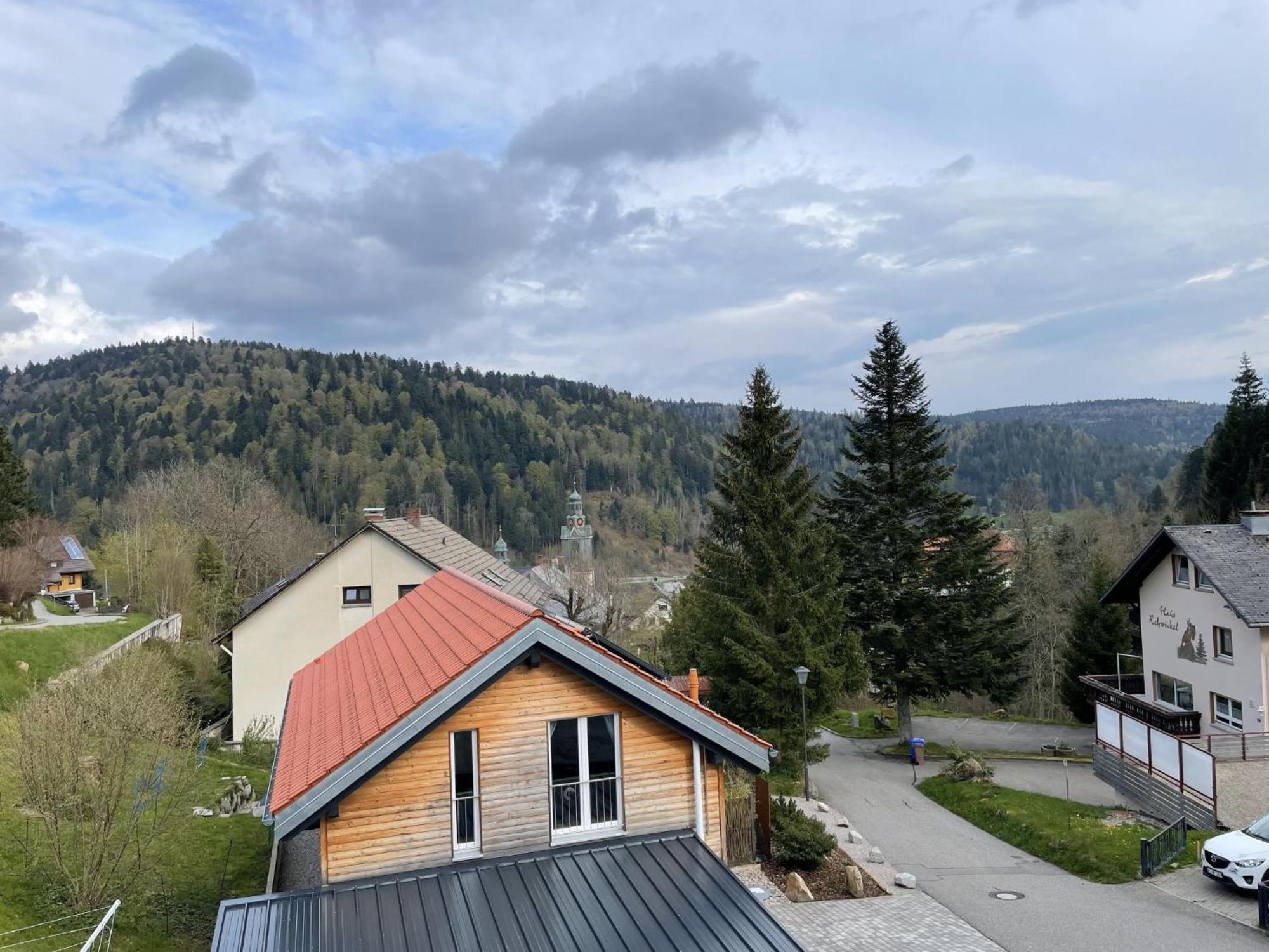 Traumferienwohnung Todtmoos - Appartment Mit Schoenem Wintergarten Exterior foto